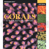 Corals, A Quick Reference Guide by Julian Sprung
