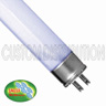 24 watt Actinic Blue T5 Fluorescent Bulb, Jalli