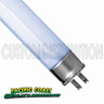 48 inch Actinic Blue T5 Bulb 54 watt, Pacific Coast 