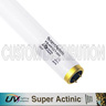 24 in T12 Super Actinic Bulb 20 watt, URI/UV Lighting