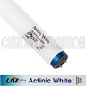 24 in T12 Actinic White Bulb 75 watt, URI/UV Lighting
