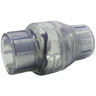 3/4 inch PVC Swing Check Valve FPT x FPT, Clear 