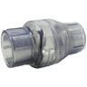 1-1/2 inch PVC Swing Check Valve FPT x FPT, Clear