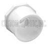 4x2 Pvc PVC Reducer Bushing spg x FPT Sch 40