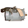 Iwaki 10 HP Motor 230/460 volt 3 phase