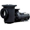 Lifegard EQW 300 Water Pump 3 HP, 450 GPM